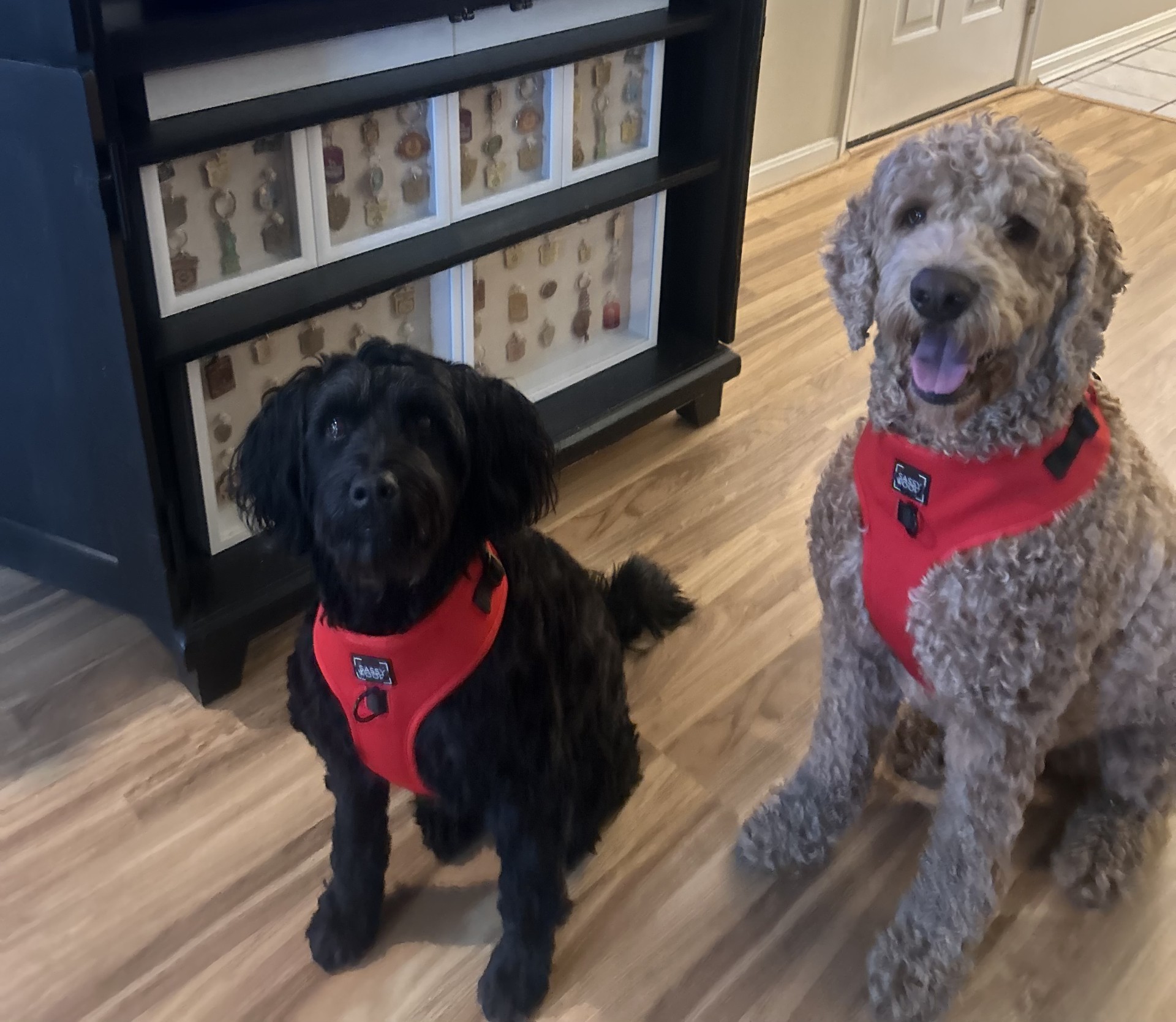 Charlie and Aubie